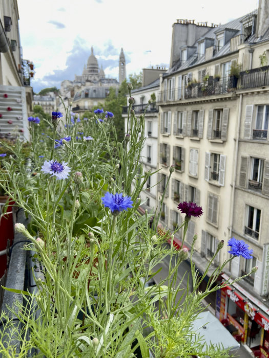 Vue Sacré Coeur